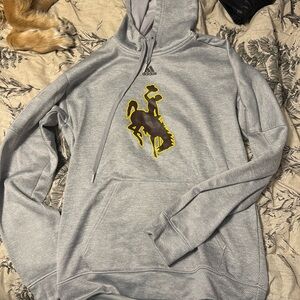 UW Hoodie